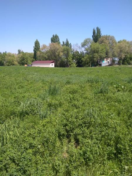 Продаю: Участок 635 соток в пригороде Алматы - купить земельный участок на Nedvizhimostpro.kz