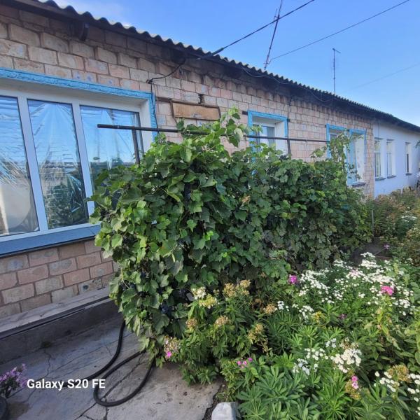 Продажа: Дом на Огородная 5 - купить дом на Nedvizhimostpro.kz