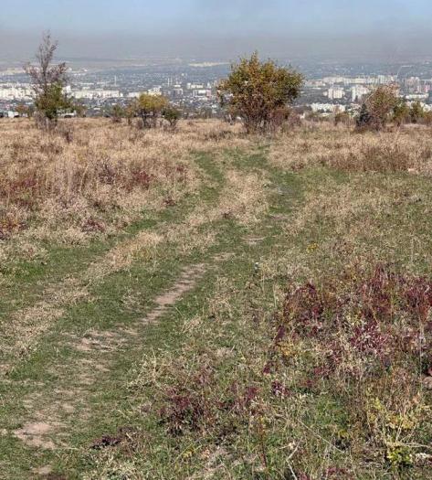 Продается:  Участок, Бостандыкский р-н - купить земельный участок на Nedvizhimostpro.kz