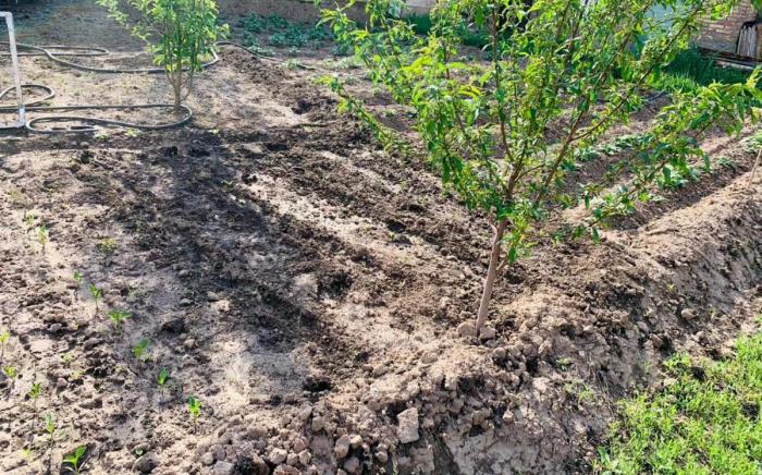 Продам:  Участок, Куаныш 63 - купить земельный участок на Nedvizhimostpro.kz