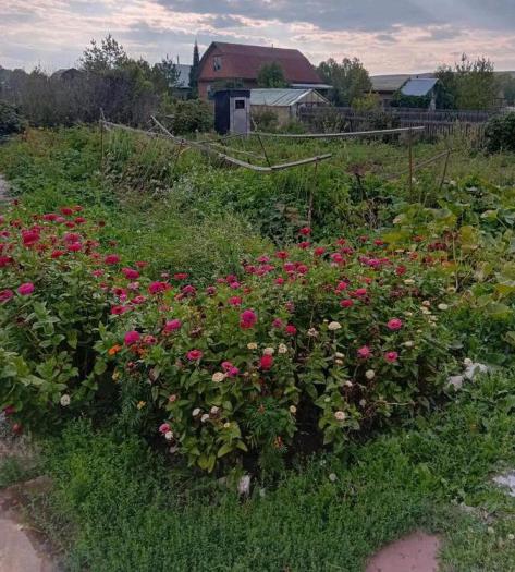 Продается:  Дом, Восточник -степной Акимовка 478 - купить дом на Nedvizhimostpro.kz