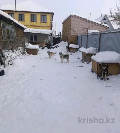 Продажа:  Участок, Пугачева 138 - купить земельный участок на Nedvizhimostpro.kz