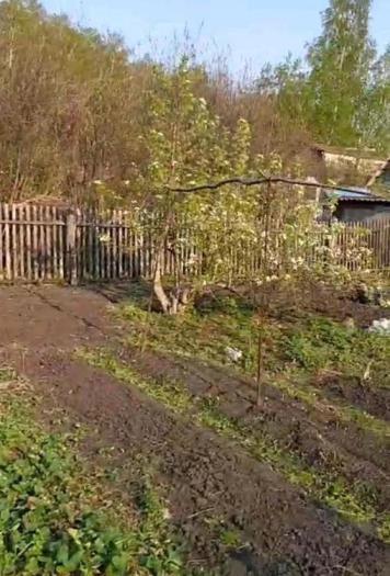 Продаю:  Дом, Борки - купить дом на Nedvizhimostpro.kz