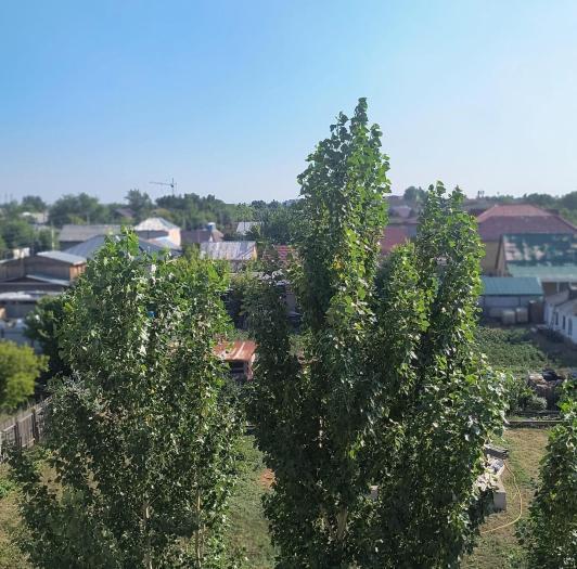 Продам квартиру в районе (Сарыаркинcкий): 1 комнатная квартира, Мкр. Коктал - 1 - купить квартиру на Nedvizhimostpro.kz