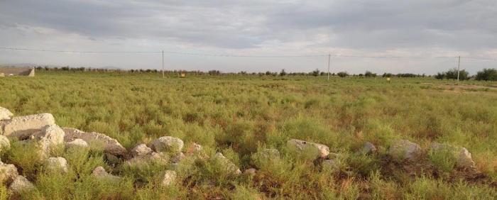Продажа:  Участок, жилой массив Кайнар Булак, Жана курылыс 32 - купить земельный участок на Nedvizhimostpro.kz