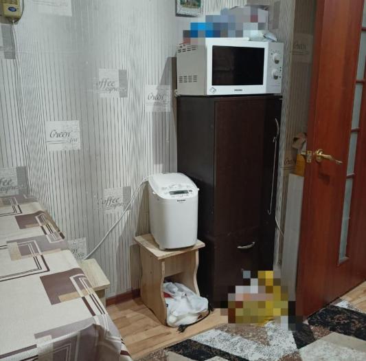 Продается: 3 комнатная квартира, мкр Авиагородок, Авиагородок  5 - купить квартиру на Nedvizhimostpro.kz