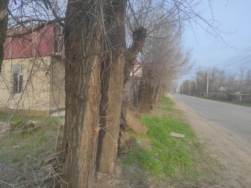 Продаю: Участок под бизнес в пос. Жамбыл  - купить на Nedvizhimostpro.kz