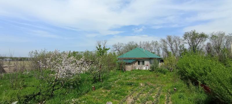 Продам: Фермерское хозяйство в Узынагаш - купить прочую недвижимость на Nedvizhimostpro.kz